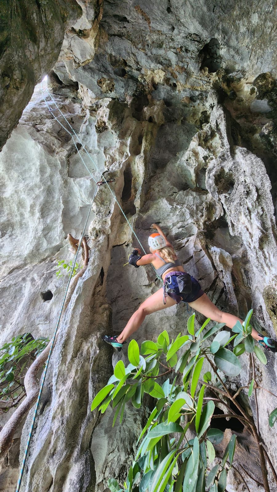 Cat Ba Climbing