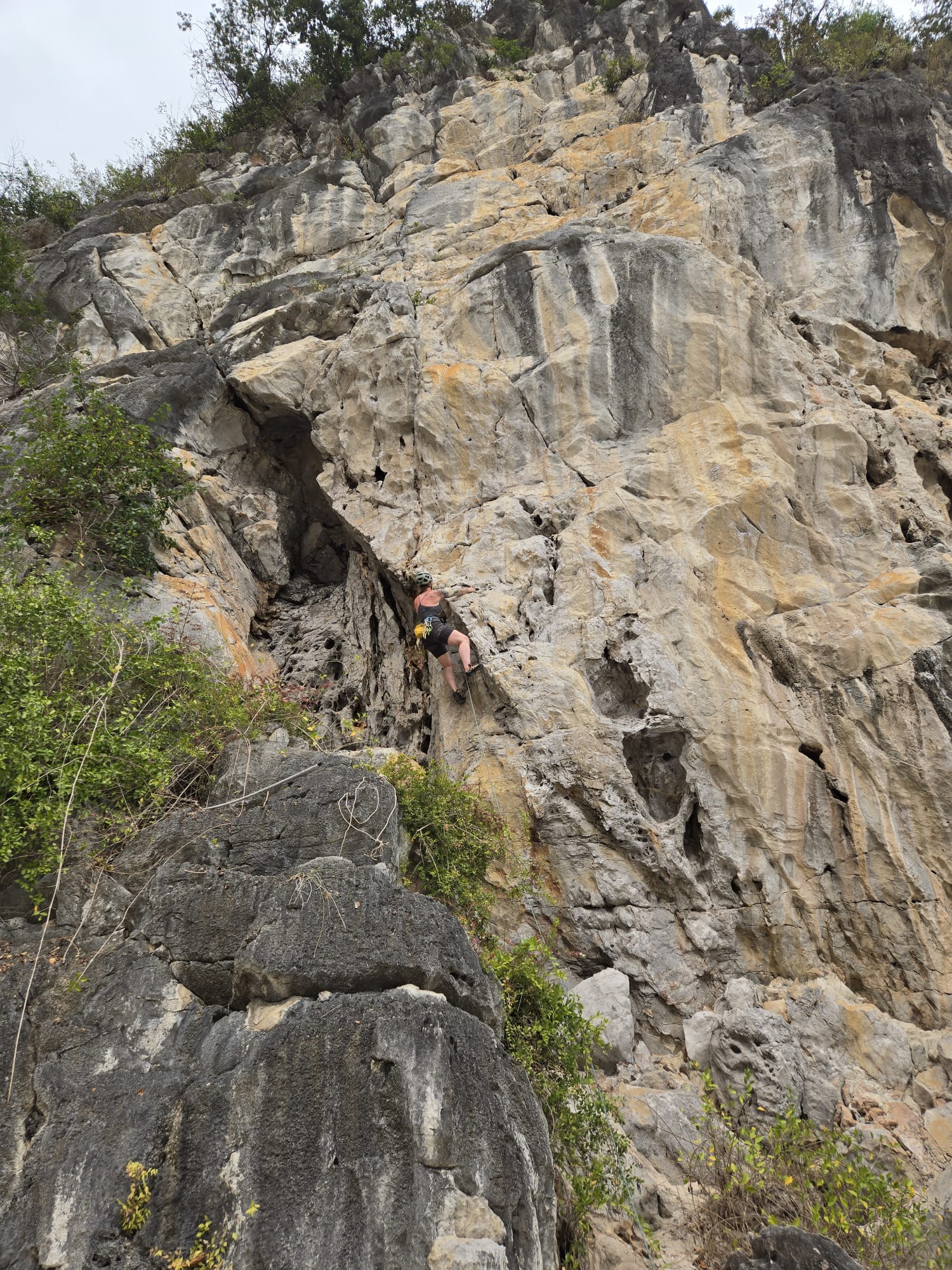 Cat Ba Climbing